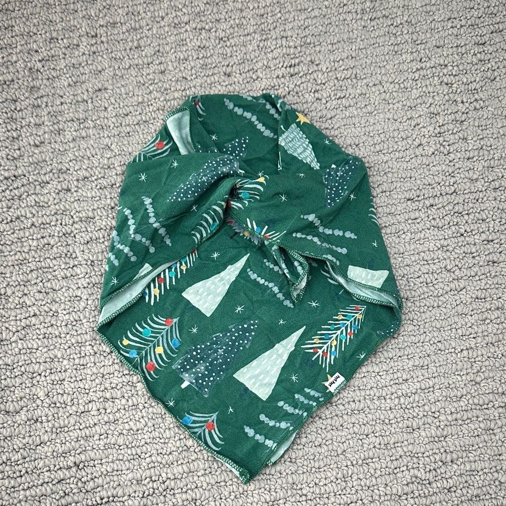 Festive Green Dog scarf